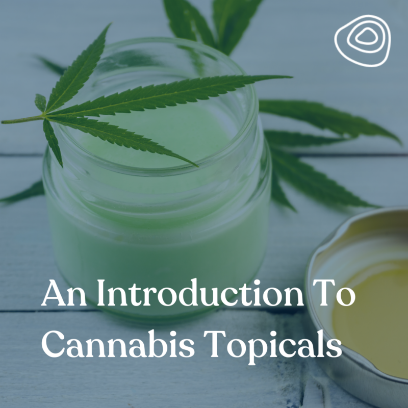 An Introduction To Cannabis Topicals - Terrabis - Find Your Calm