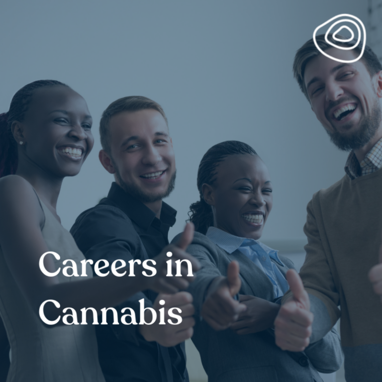 Careers in Cannabis - Terrabis - Find Your Calm