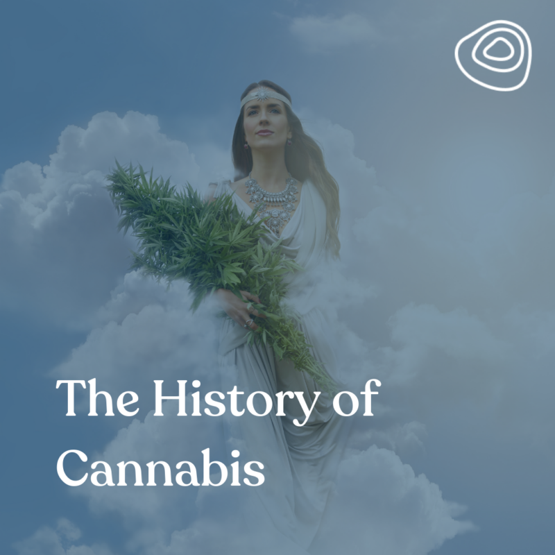 The History Of Cannabis - Terrabis - Find Your Calm