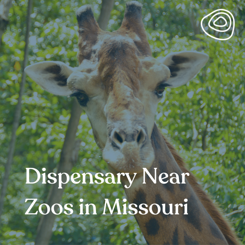 Dispensary Near Zoo in Missouri - Terrabis - Find Your Calm