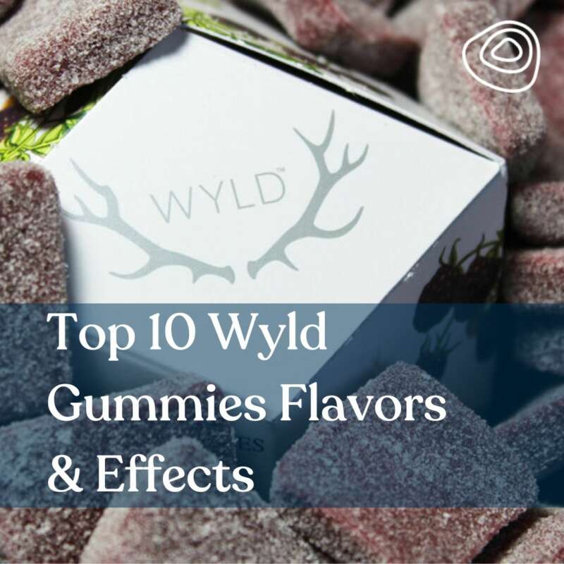 From Raspberry to Huckleberry, Which Wyld Weed Gummies Flavor is the Fan  Favorite