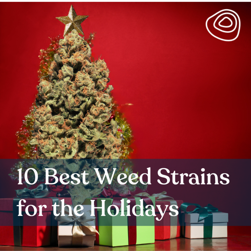 10 Best Weed Strains For The Holidays