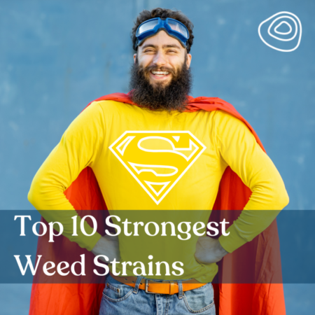 Top 10 Strongest Weed Strains