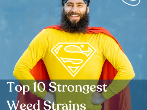 Top 10 Strongest Weed Strains