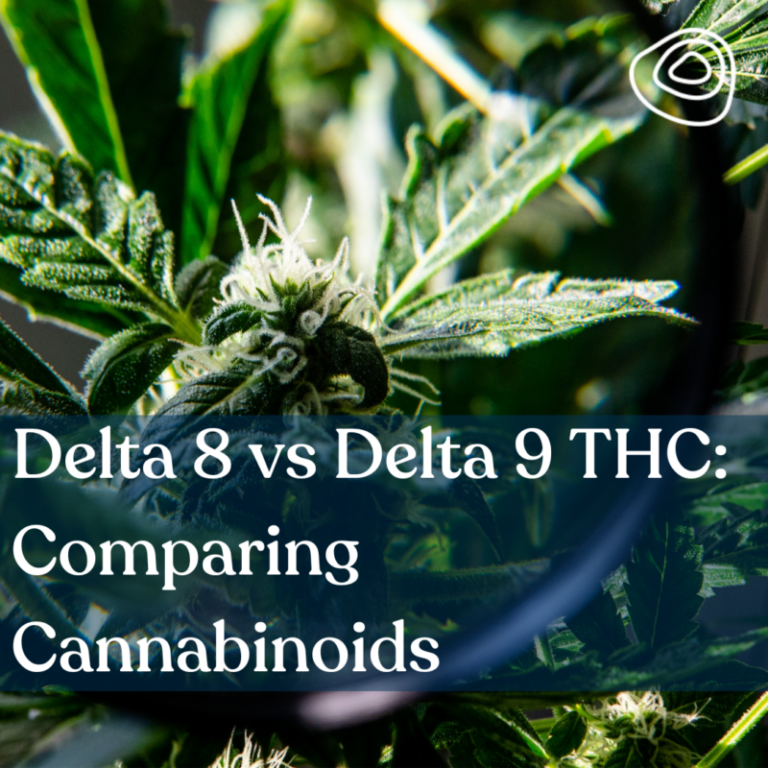 Delta 8 Vs Delta 9 THC: Comparing Cannabinoids - Terrabis - Find Your Calm