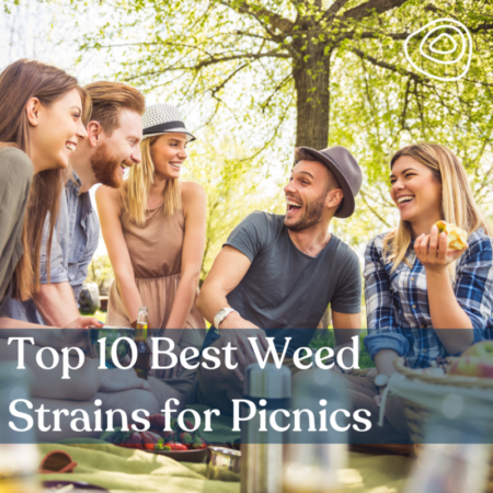 Top 10 Best Weed Strains for Picnics