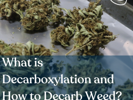 What is Decarboxylation and How to Decarb Weed